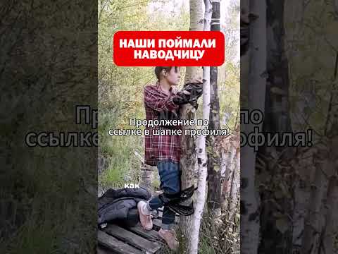 НАШИ ВЫЧИСЛИЛИ НАВОДЧИЦУ. КУРСКАЯ ОБЛАСТЬ