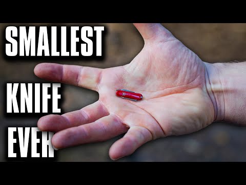 Survival With the Smallest victorinox Knife... Can it do it?