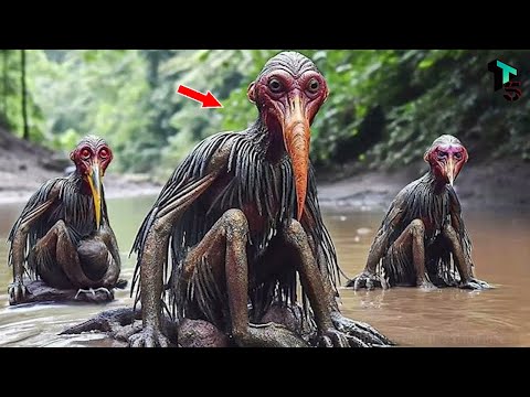 KHÁM PHÁ KINH HOÀNG Trong Rừng Rậm Amazon Khiến CẢ THẾ GIỚI KHIẾP SỢ | T - TOP5