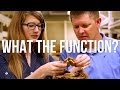 Adaptations and Relationships in Nature
