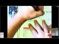 Understanding Decimals and Fractions