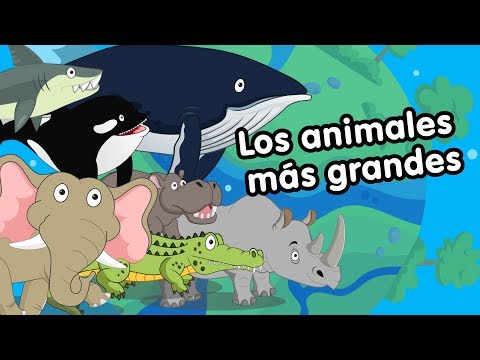 Los 10 animales mas grandes del mundo