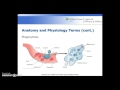 Blood Components and Functions