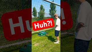 KIKKER VERMOMD als GRASMAAIER 🐸🧐 #baileyfreestyle #kikker #grasmaaier #grappig #shorts #frisbee