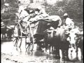 Understanding Liberty and Slavery in 19th Century America
