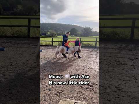 Ivy Teaching Ace to ride Mouse #horse #equestrian #showjumping #horselover #horsegirl #pony