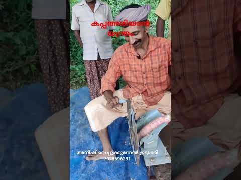Tapioca Cutting Machine