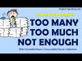 Navigating Quantifiers in English Grammar