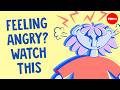 Understanding Anger: Philosophical Perspectives