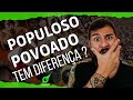 Demografia e População no Brasil