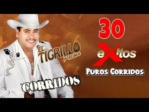 El Tigrillo Palma De Oro - 30 Exitos Puros Corridos Mix Para Pistear 2024