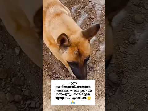 മക്കൾക്ക് പകരം വേറെ എന്തുണ്ട് 🙏#nandumahadeva #facebook #instagram #india