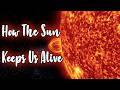 The Sun and Its Role