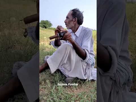 New Kirak 2022 | Quail Hunting | Rain Quail call | #short #batair_ka_shikar