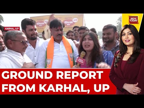 UP Bypolls LIVE: What's The Mood Of Karhal Seat? | Ground Report By Nabila Jamal | India Today LIVE