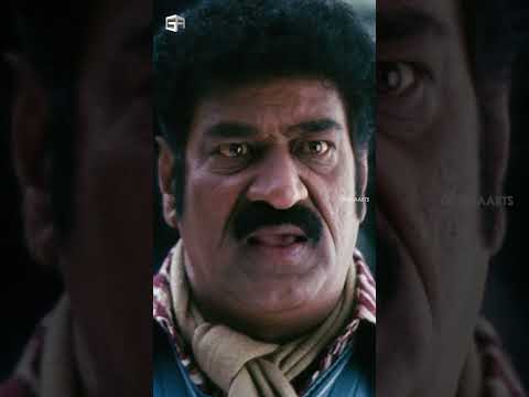 #Badrinath Telugu Movie Scenes | #alluarjun #tamannaah #brahmanandam #krishnabhagavan #msnarayana