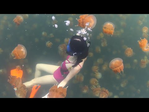 Los Videos mas Raros del Mundo 46 / Videos Extraños