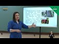 Extrativismo Vegetal e Mineral