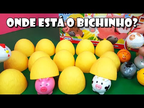 Jogo De Memória Na Fazenda Com Bichinhos Tia Fla X Produção