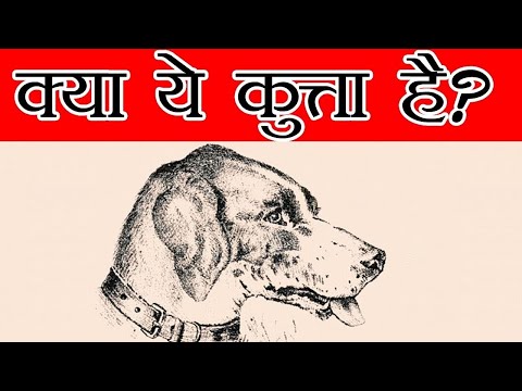 क्या ये एक कुत्ता है? सबसे दिलचस्प Optical Illusion जिसने मुझे चकित कर दिया |