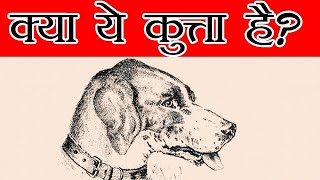 क्या ये एक कुत्ता है? सबसे दिलचस्प Optical Illusion जिसने मुझे चकित कर दिया |