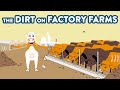 Environmental and Health Impacts of CAFOs