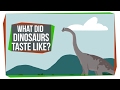 Dinosaur Meat and Modern Birds
