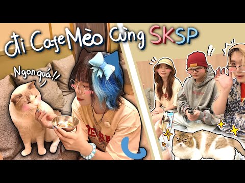 Simmy Rủ SKSP Đi Cafe Mèo Cưng Siêu Đáng Yêu 😺💕