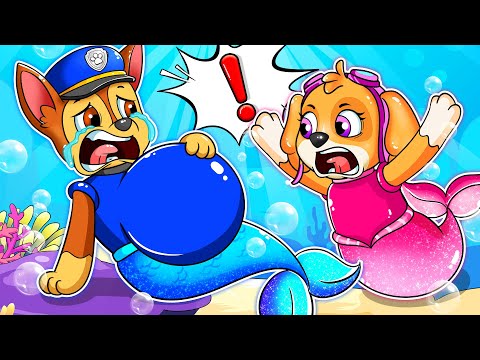 CHASE Mermaid Is PREGNANT?! What Happened?! Paw Patrol Ultimate Rescue | Full Episodes | Rainbow 3