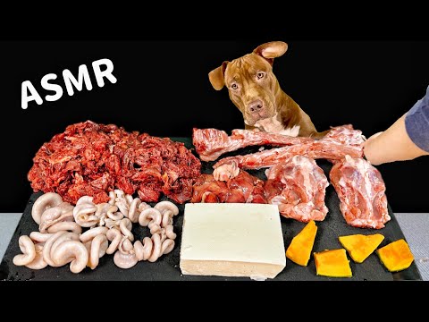 Best Dog ASMR Mukbang Pitbull Eating Raw foods