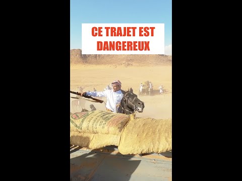 Ne prenez pas ce train en Jordanie #moyenorient #guerre #jordanie #