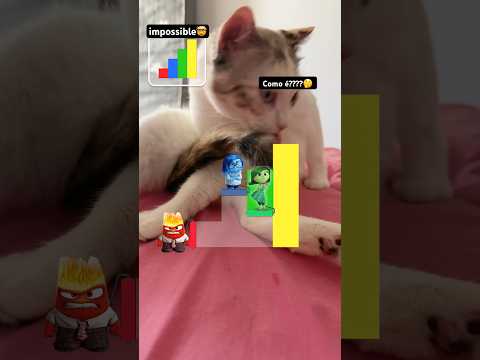 ??? #dificil #cat #catlover #gamefilter #filterchallenge #filtergame #shortsvideo