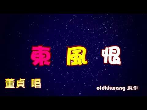 東風恨 特效karaoke字幕