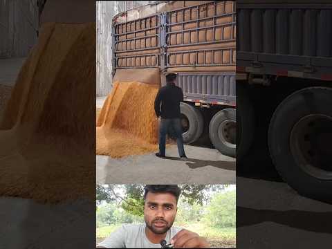 ? ट्रक से आनज ऐसे उतरता है ? #villagelife #vairalvideo #satisfying l