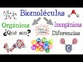 Características de las biomoléculas