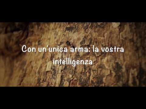 Il Bosco Eremo Locatelli