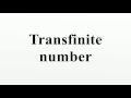 Transfinite Numbers and Their Properties
