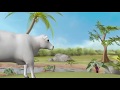 Nitrogen Cycle and Microorganisms