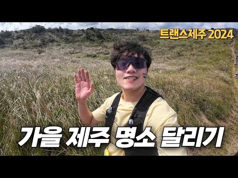 제주도 가을여행에서 꼭 가야하는 여행지를 달리면서 소개합니다🏃‍♂️｜2024 트랜스제주 Trans Jeju