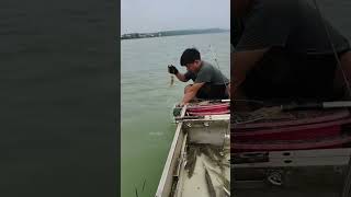 Daily Line Fishing in river at home #fishing #fishingvideo #linefishing #fishingtips