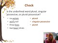 Exploring Plural and Possessive Nouns