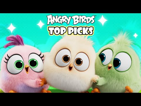 Angry Birds Top Favorite Picks 🌴