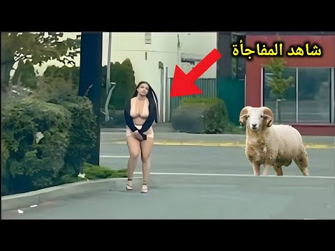 لحظات لا تصدق صورتها كاميرات المراقبة لا يمكن تصديقها