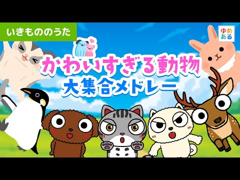 かわいすぎる動物大集合メドレー