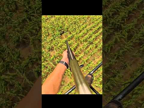 Охота на дикого кабана с вертолёта 15 выстрелов и кабан бежит#challenge#chase# helicopter#hunting