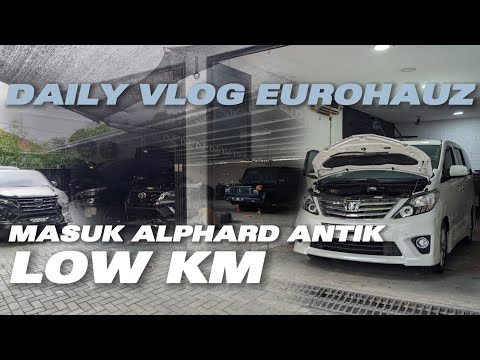 DAILY VLOG EUROHAUZ - MASUK ALPHARD ANTIK LOW KM