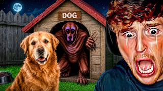 that is not my dog..