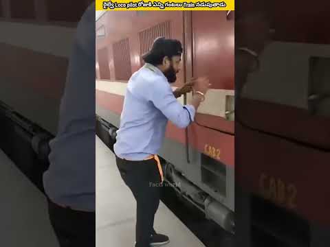 రైల్వే Loco pilot రోజుకి ఎన్ని గంటలు Train నడుపుతాడు | #viral #facts #shorts #Factsworld #shortsfeed