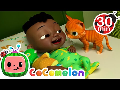 Bedtime Kitten | Cody Time Nursery Rhymes & Kids Songs