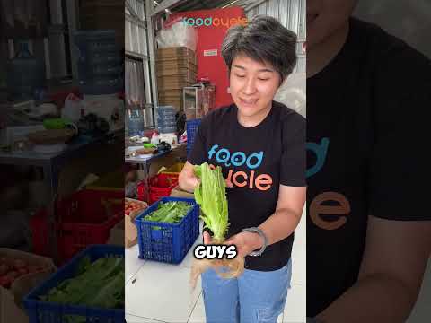 SAYUR SEBAGUS INI KENAPA DIBUANG?